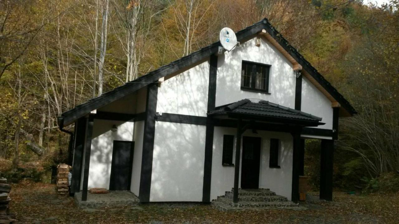 Cabana Crenguta Sybin Zewnętrze zdjęcie