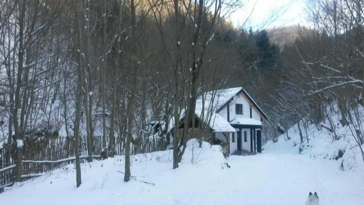 Cabana Crenguta Sybin Zewnętrze zdjęcie