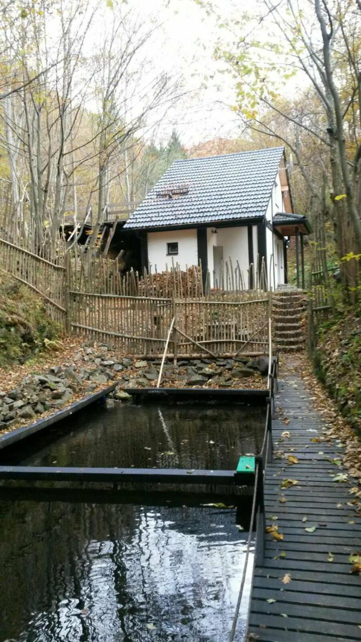 Cabana Crenguta Sybin Zewnętrze zdjęcie