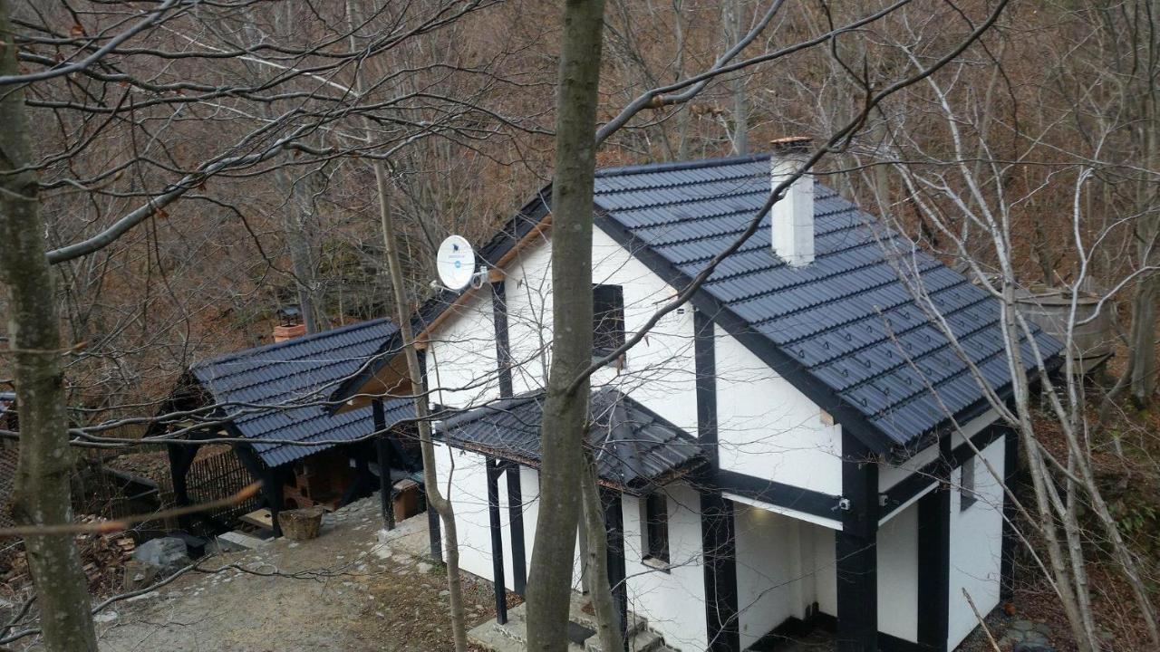 Cabana Crenguta Sybin Zewnętrze zdjęcie
